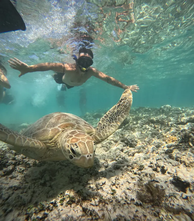 Federico snorkelling next to a sea turtle